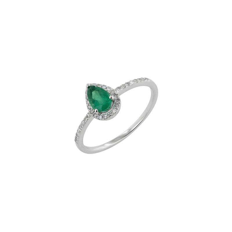 Anillo Grass