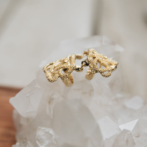Seth Ring – Sangredemisangre